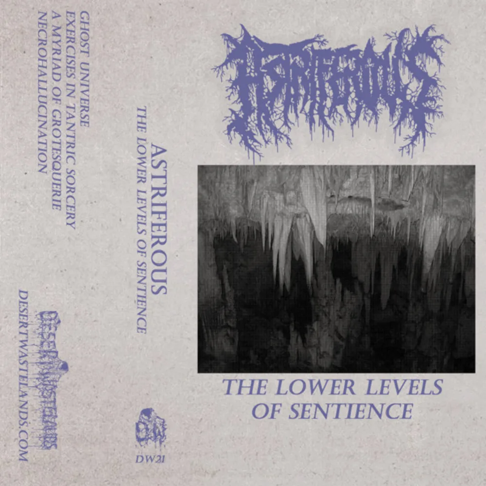 Astriferous - The Lower Levels Of Sentience