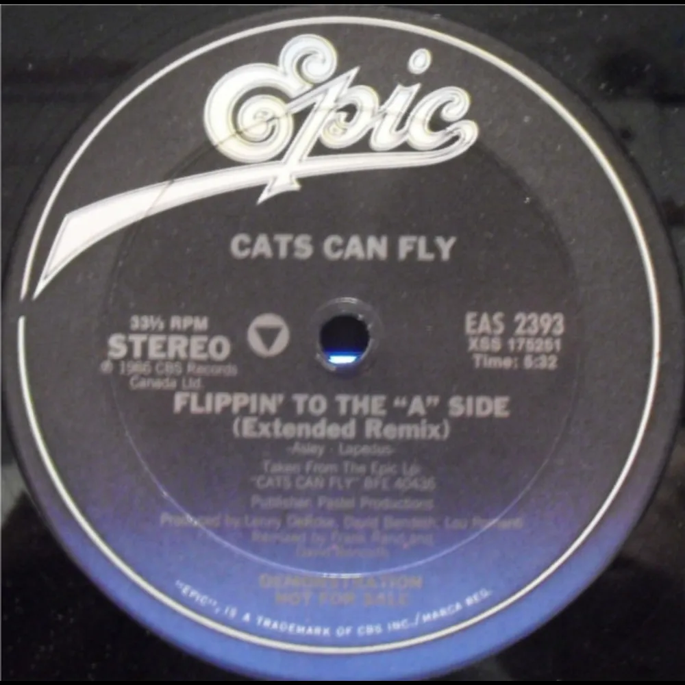 Cats Can Fly - Flippin' To The "A" Side