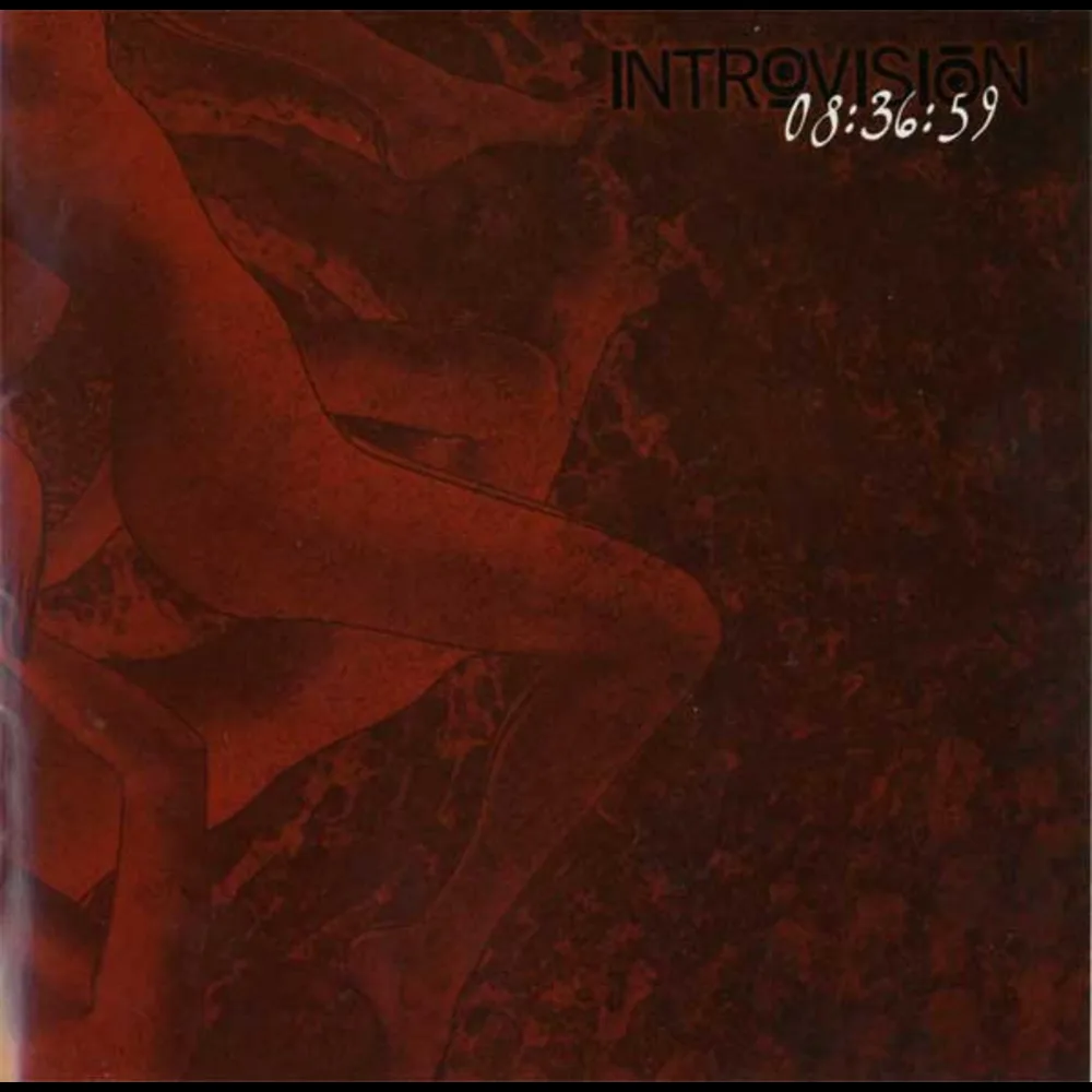 Introvision - 08:36:59
