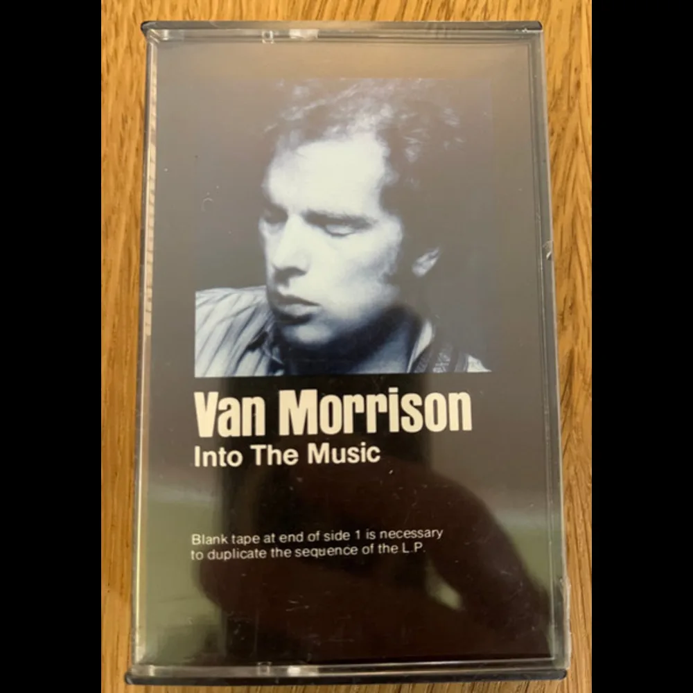 Van Morrison - Into The Music