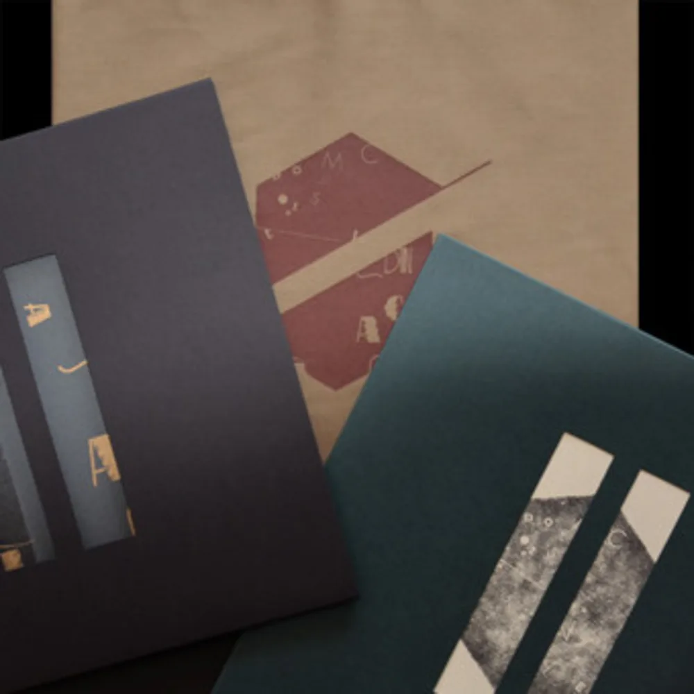 Various - Domestic Landscape Vol. 1 & 2 (5th Anniversary Edition)