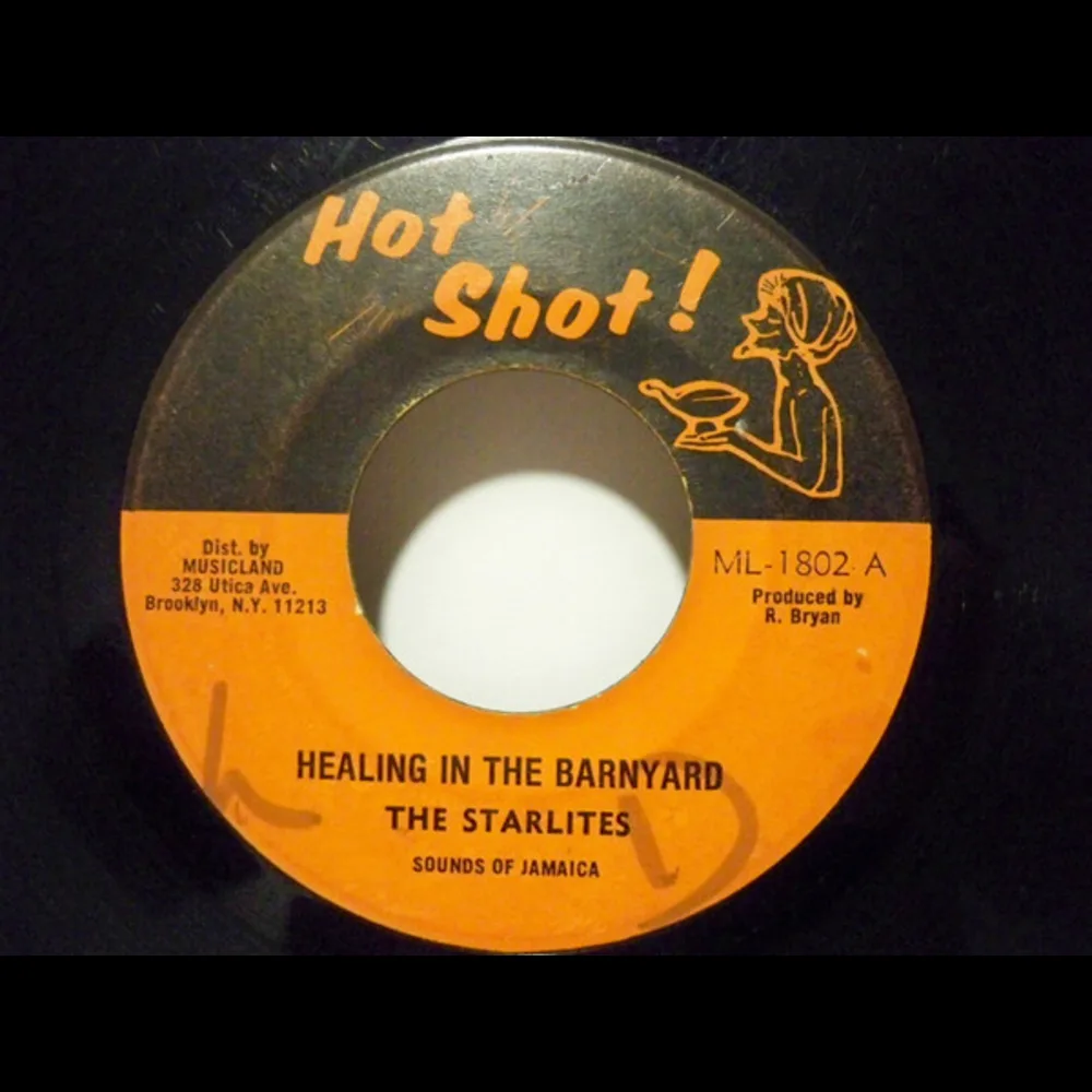The Starlites & Skin, Flesh & Bones - Healing In The Barnyard / Barnyard Skank